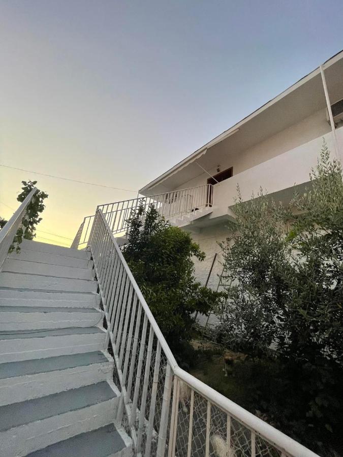 Villa Oasis Berat Ngoại thất bức ảnh